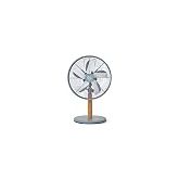 SWAN SFA16920GRYN 12" Desk Fan