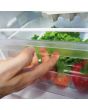 Statesman F1654APWE 54cm 50/50 Fridge Freezer